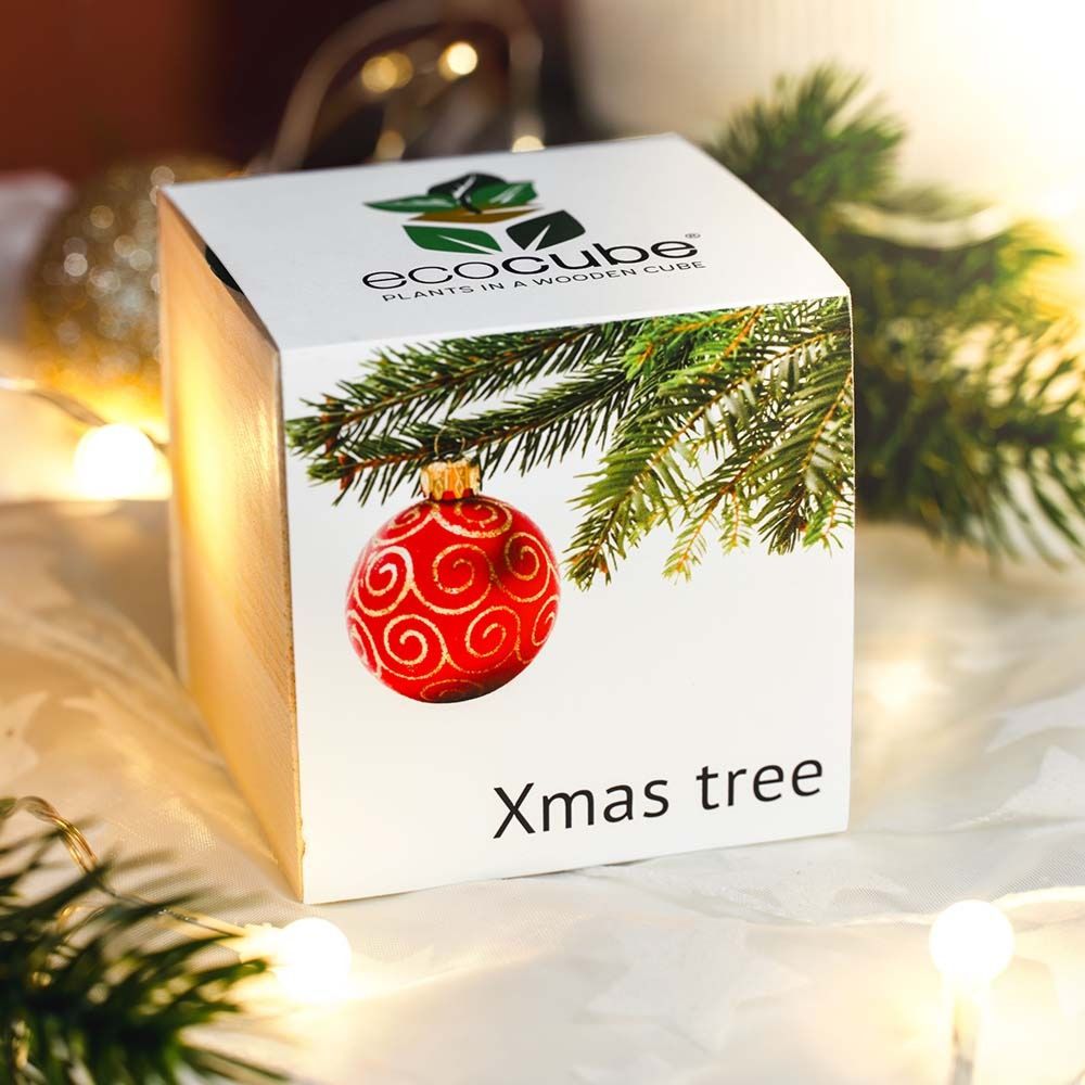 ecocube - planten in houtblokken