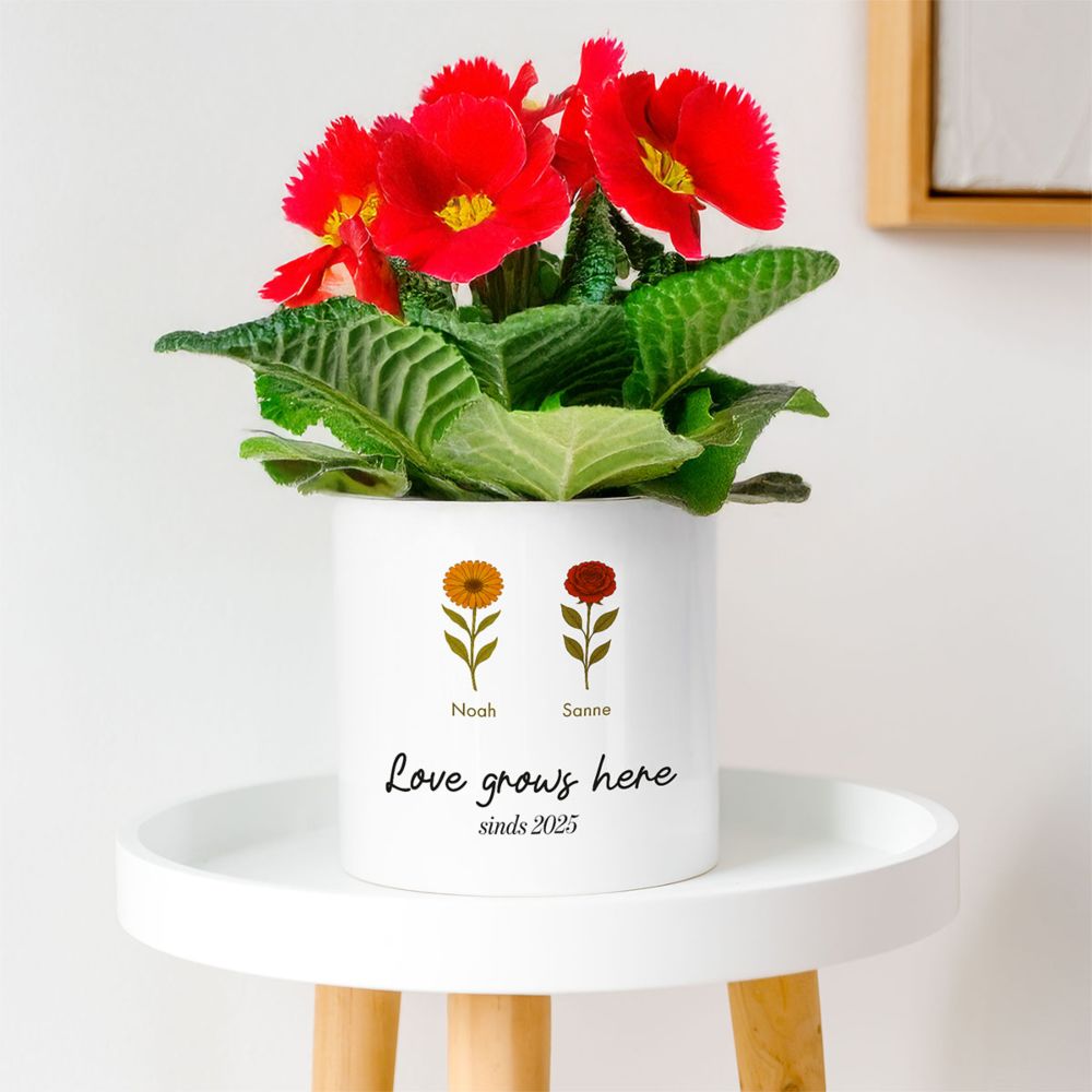 Gepersonaliseerde bloempot met geboortebloemen