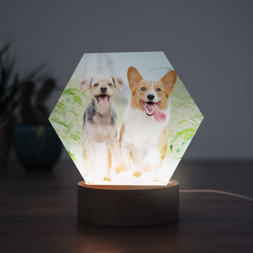 Huisdieren cadeau LED lamp met foto